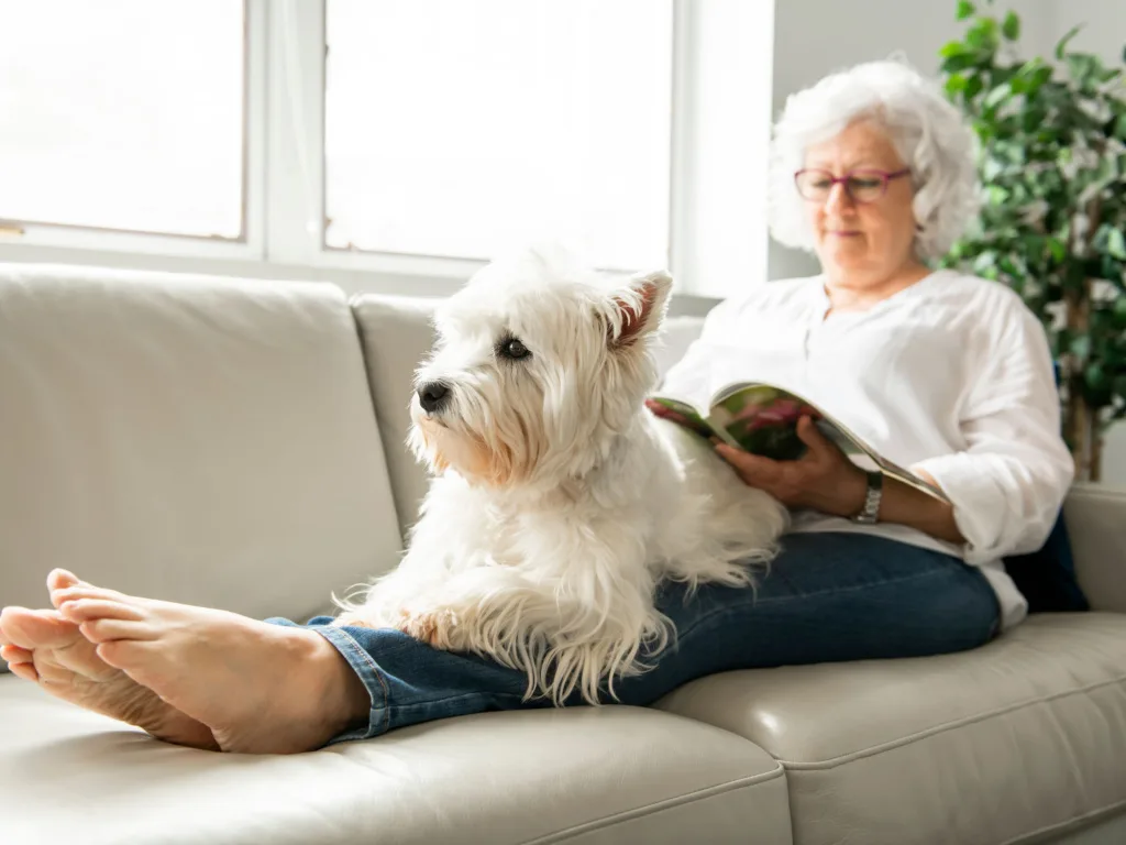 7 Popular Dog Breeds Among Seniors
